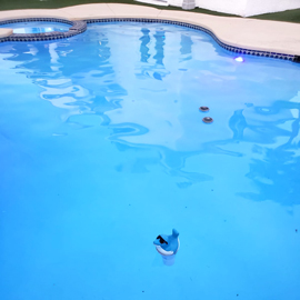 Las Vegas Pool repair and service